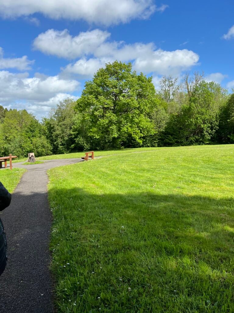 Killykeen Forest Park