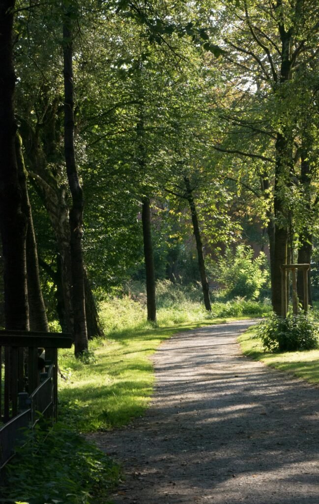 Killykeen Forest Park