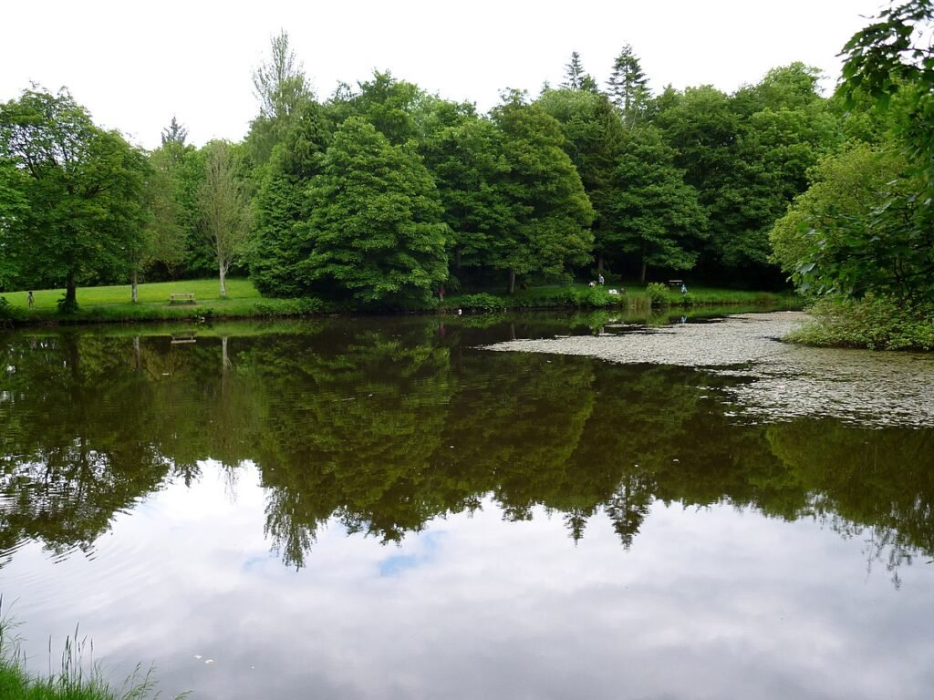 Lady’s Lake in Dún a Rí Forest Park