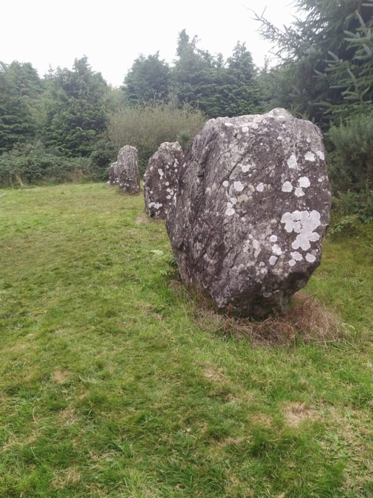 The Millennium Trail